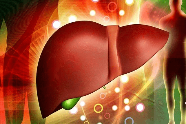 强效药物对肝脏的影响